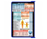 WhiteCoat Clipboard® - Blue Flight Medic Edition